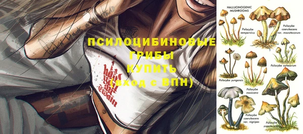 spice Алзамай