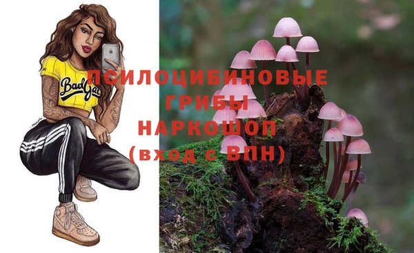 spice Алзамай