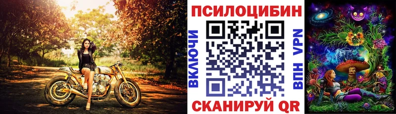 Галлюциногенные грибы Magic Shrooms как найти закладки Заринск