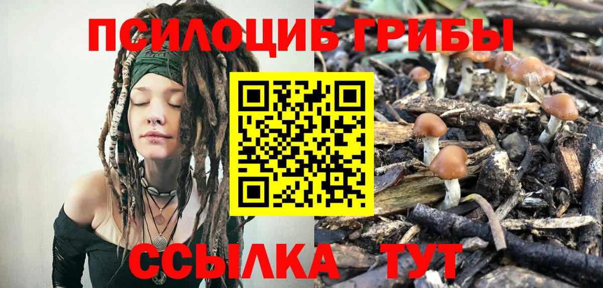 Псилоцибиновые грибы GOLDEN TEACHER Заринск