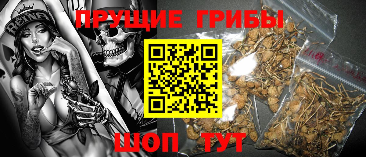 Галлюциногенные грибы MAGIC MUSHROOMS  Галлюциногенные грибы Psilocybine cubensis  Вход с VPN  Заринск 